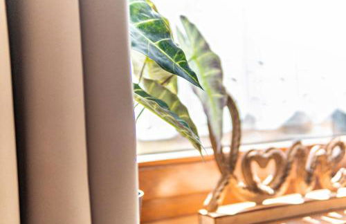 Fewo mit Terrasse - Hunde erwünscht - Foto 6