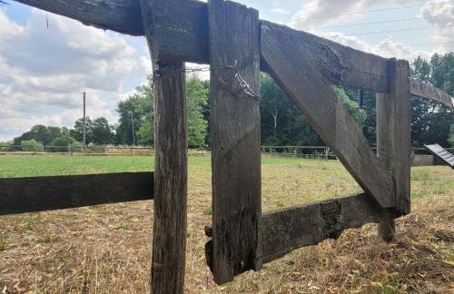 Ferienhof Schwalbennest OFC 24 - Foto 24