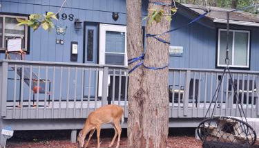 Fun Home in Pocono with Gameroom-Firpit-BBQ Grill-TV and AC in all rooms - Foto 3