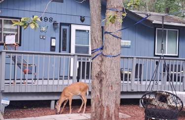 Fun Home in Pocono with Gameroom-Firpit-BBQ Grill-TV and AC in all rooms - Foto 3