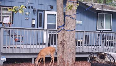Fun Home in Pocono with Gameroom-Firpit-BBQ Grill-TV and AC in all rooms - Foto 1