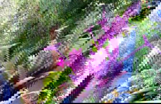 Emelce Aparts - Foto 26