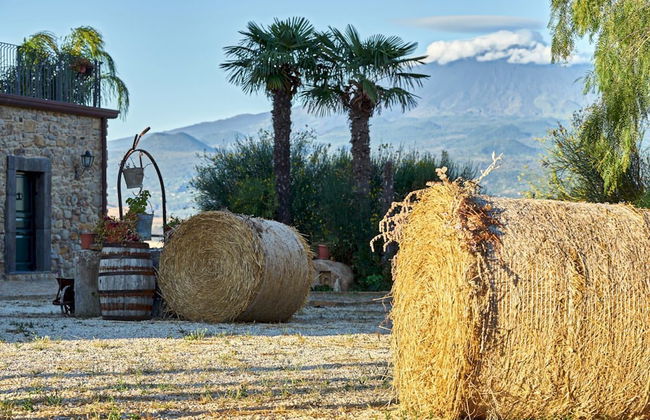 Agriturismo Conte Ruggero - Foto 70