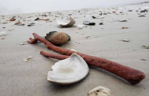 Dog Friendly-Short Walk to Beach-Canal Front-Screened Porch-Peaceful - Foto 19