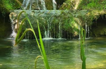 La ferme - Domaine Monbel - Foto 22