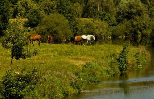 Chalet am Bach - Foto 25