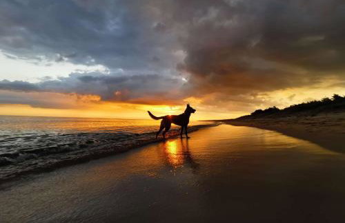 Ferienhaus Sophia 70qm bis 5 Gäste mit Fass-Sauna, Whirlpool April bis Oktober, 75qm Terrasse und eingezäunten Garten - Photo 47