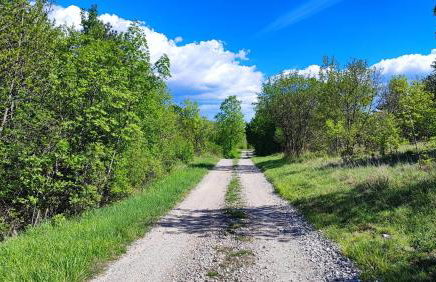 Peaceful Villa Ida&Mirko in nature with private pool - Foto 17