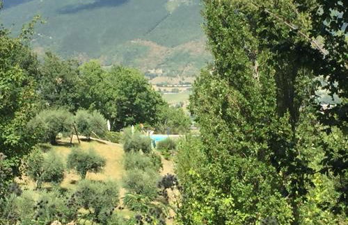 Casale degli ulivi - Foto 16