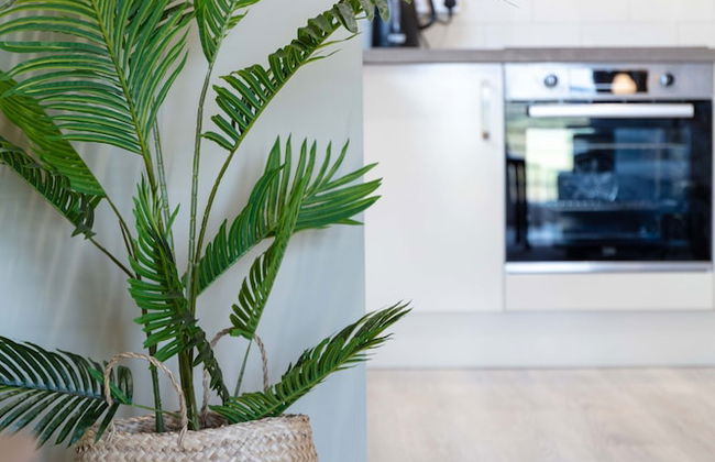 Old Prestwick View - Donnini Apartments - Foto 15