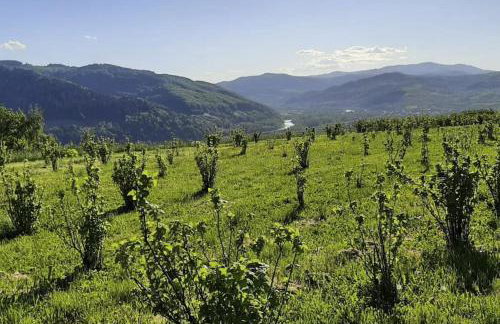 Maszkowice Domek nad Dunajcem na szczycie gory - Foto 3