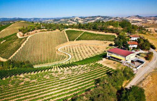 Podere Riosto Cantina&Agriturismo - Foto 35