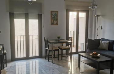 Apartamento Edificio Carruaje - Foto 6