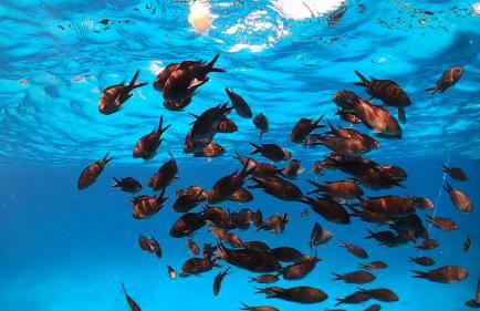 Dommu de Nannai Moro: Appartamento con terrazza - Foto 28