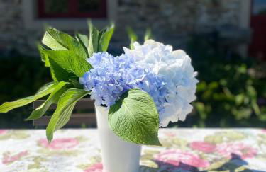 A Painza Aldea Rural - Foto 37