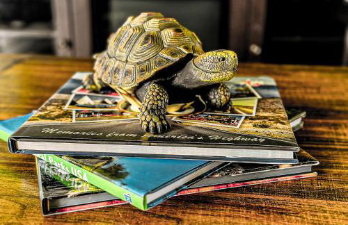 Condo 2BD2BAGrillLaundry-8PP-Pet Friendly - Foto 35