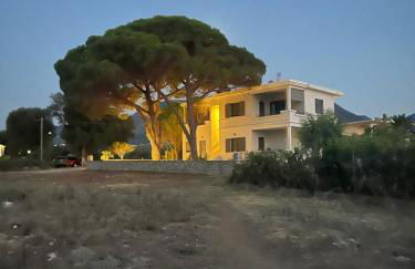 Tzanetos Pelagos - Foto 23