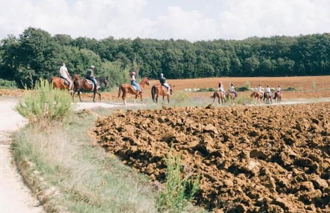 Bio et Bois - Foto 64