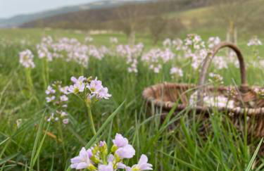 Ferienhof"WaldEsel Rippersroda" - Foto 65