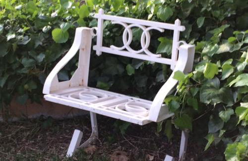 Monte do Rei Santo - Foto 20