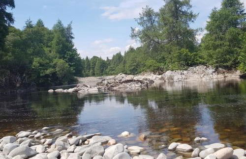 Orchid lodge - Foto 15