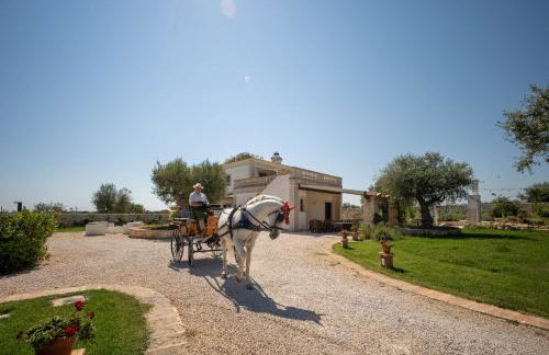 WePuglia - TERRATERRA - Masseria Minunni - Photo 33