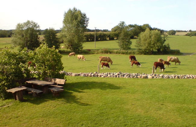 Ostsee Ferienhaus Welzin - Altes Schäferhaus - Foto 17