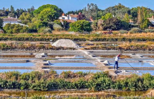 Stunning Home In Noirmoutier En Lile - Foto 23