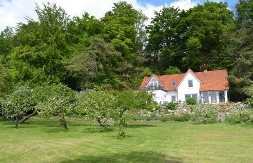Ferienwohnung Seefrieden - Foto 15