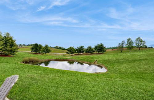 Lake View Cabin Sleeps 10 Pool Golf Marina Access - Foto 43