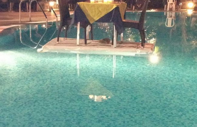 Residence Hotel Riviera Calabra - Foto 29