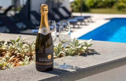 Luxury Villa Subventus - Photo 17