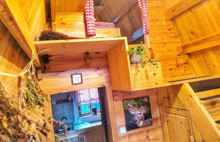 Finnhütte bei GRETA - Foto 4