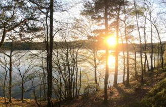 Wohntraum Boardinghouse - Foto 27