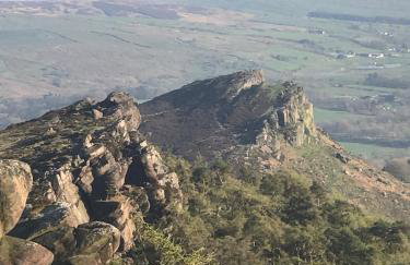 Lavender Retreat with Private Hot Tub - Photo 19