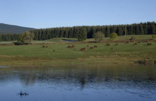 Ferienhaus mit Wellnessbereich in Elend - Foto 30