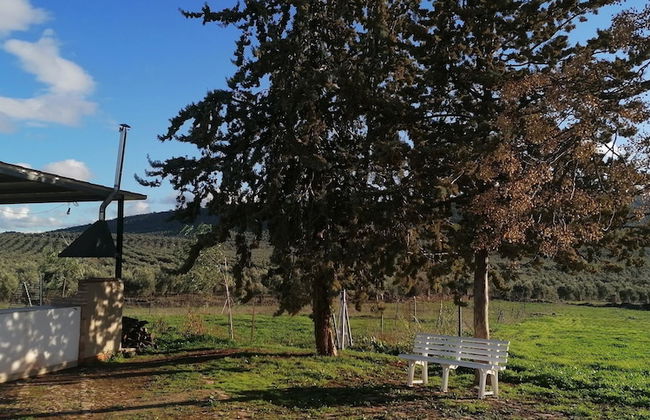 Cortijo Vizconde - Photo 57