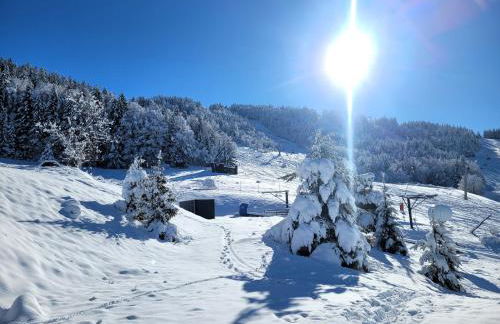 STUDIO plein sud "Les Arolles" Balcon de VILLARD DE LANS - Foto 28