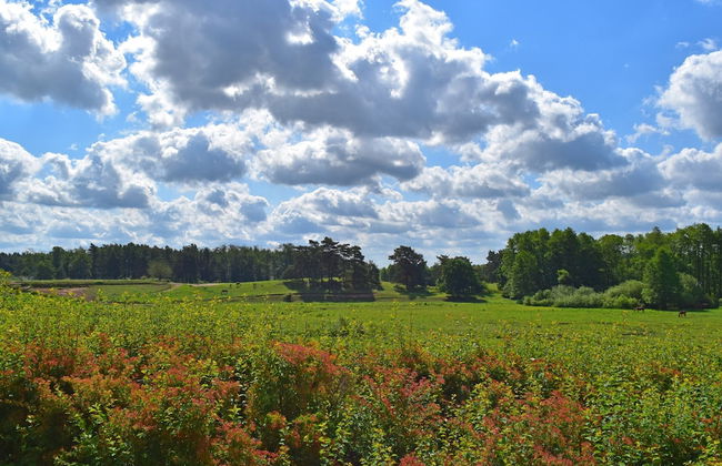 Ferienhaus am Garder See Inselblick - Photo 44