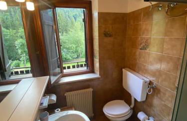 La casa del Cucù al Ravascletto, 900mt from cable car - Foto 9