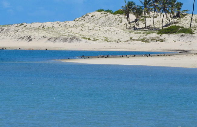 Excursión a la playa Águas Belas - Foto 5