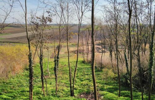 Holiday house with a parking space Orolik, Slavonija - 14358 - Foto 9