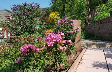 Talstadtblick - Foto 4