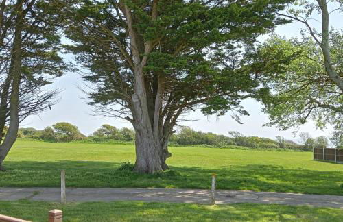 Fossils Retreat - Photo 5