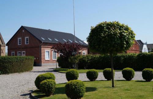 Silbermöwe - b65688 - Foto 15