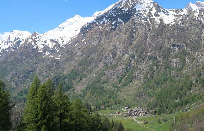 Chez Les Roset - Photo 30