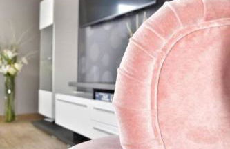 Haffmuschel - Foto 13