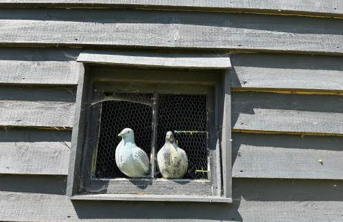 Bessie May Cottage - Foto 49