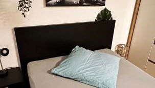 Zentrumnah inklusive Parkplatz Jungle-Suite by Rentigo - Ruheoase im Herzen von Saarbrücken! - Foto 2