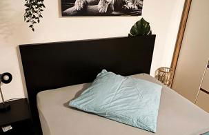 Zentrumnah inklusive Parkplatz Jungle-Suite by Rentigo - Ruheoase im Herzen von Saarbrücken! - Foto 2